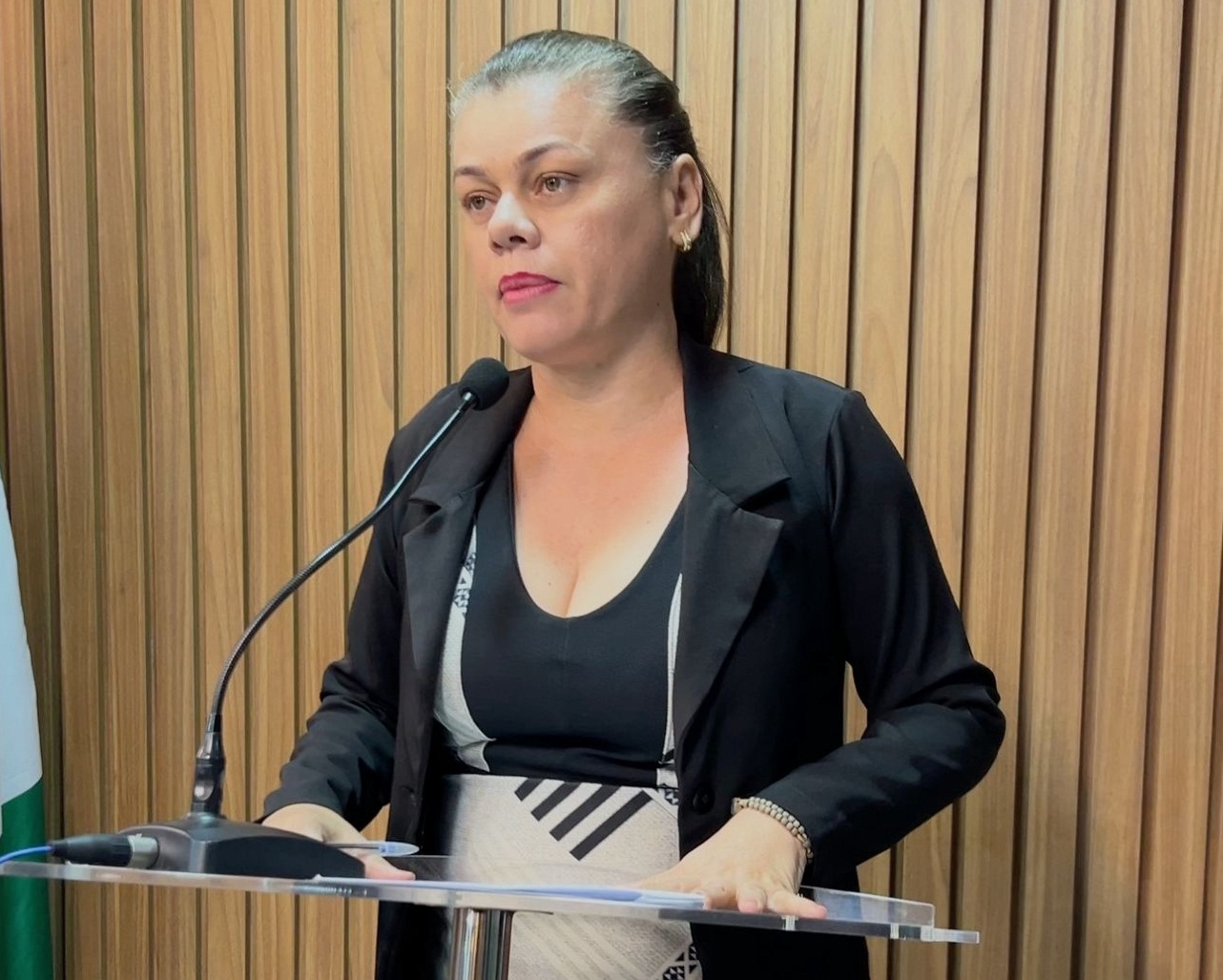 A vereadora Adelucia Cléa indicou a realização do dia das crianças na Sede do município e em todos os Povoados, além de perfuração e instalação de um poço profundo no matadouro público municipal